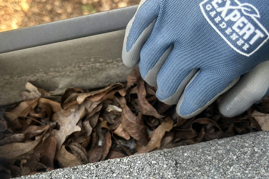 Gutter Cleaning Forest Hills, TN