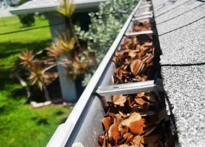 Gutter Cleaning Forest Hills, TN home page